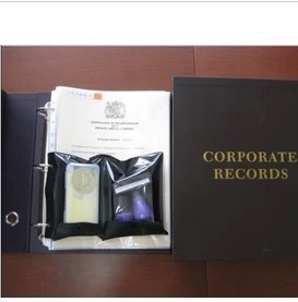 【代理深圳工商注冊/公司注冊/一般納稅人申請一站式服務】價格_批發_廠家_參數_圖片_公司注冊 -